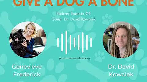 Episode 4 - Give a Dog a Bone Podcast