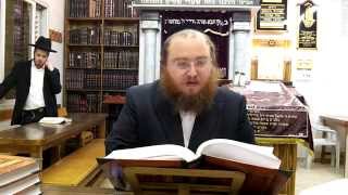 הרב שרגא זילברמן - שיעור באגדות חז"ל - עין יעקב - ח