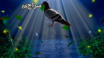 سورة مريم  كهيعص. ذِكْرُ رَحْمَةِ رَبِّكَ عَبْدَهُ زَكَرِيَّا. إِذْ نَادَى رَبَّهُ نِدَاء خَفِيًّا 🌹