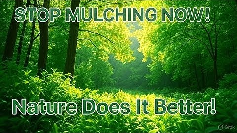 “I Stopped Mulching… And My Garden Exploded With Growth!