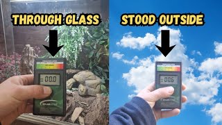 Is Sunlight Through a Window Enough UVB for Bearded Dragons (The Truth)