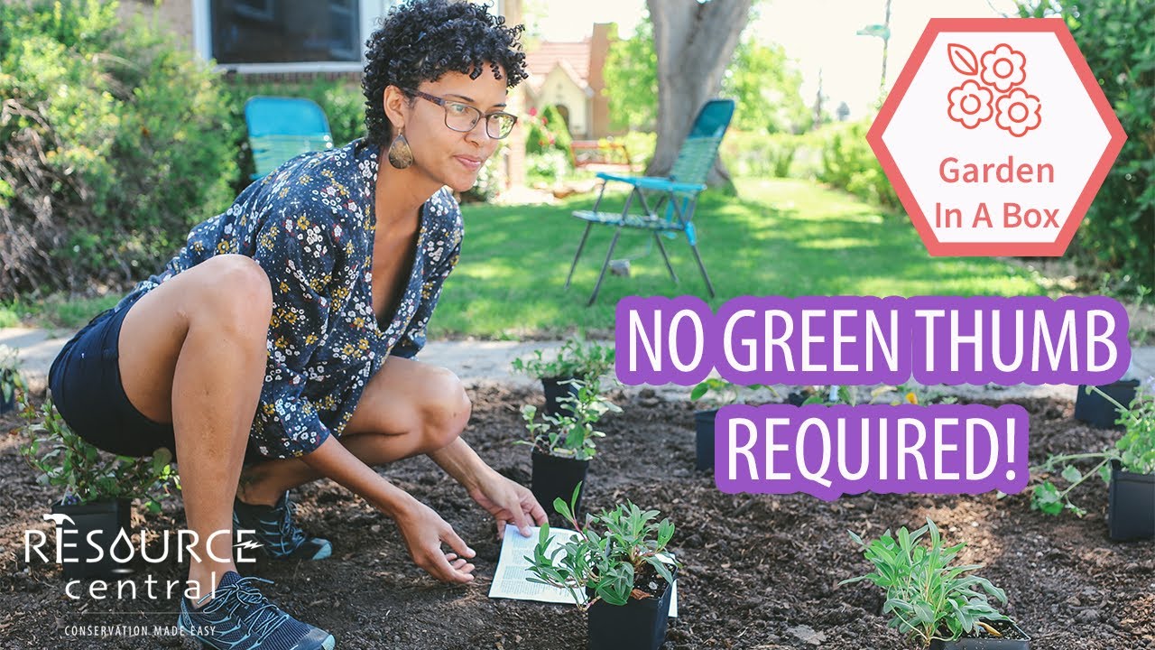Garden In A Box Benefits: No Green Thumb Required