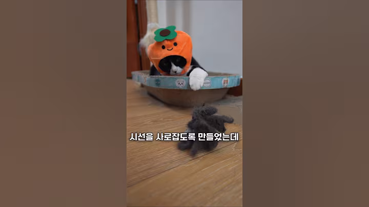 다이소 고양이 무선 장난감 강화하기