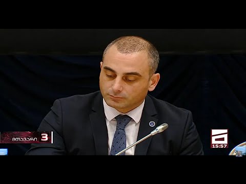 ინვესტორსა და ნიკოლოზ ბასილაშვილს შორის მრავალმილიონიანმა დავამ სასამართლოში გადაინაცვლა