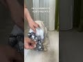 Трусы многоразовые для собаки/кота