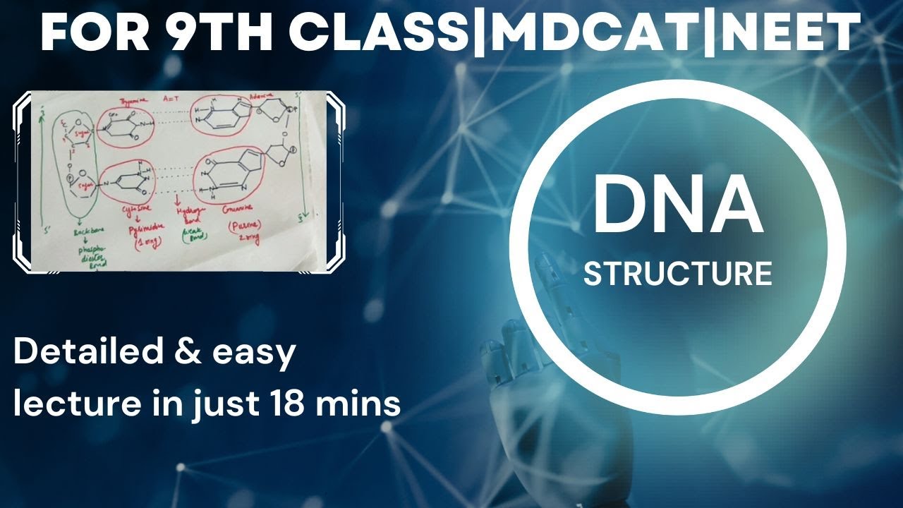 Detailed & very easy lecture on structure of DNA in 18 mins with ...