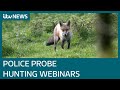 Police and CPS investigating webinars held by hunting's governing body | ITV News