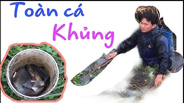 Kích cá bờ mương | toàn cá khủng