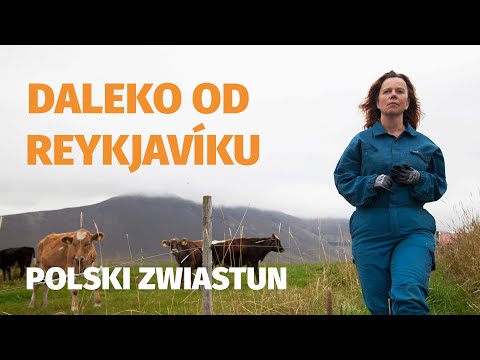 Daleko od Reykjavíku (2019) zwiastun PL, film dostępny na VOD