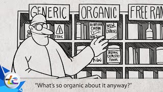 Is Going Organic The Future of Sodium Ion Batteries?