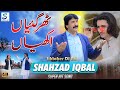 Thar gaiyan ankhiya  shahzad iqbal official song  tiktoker dj ali  new sareaki  song 2024