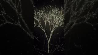 Particle system built in TouchDesigner #TouchDesigner #GenerativeArt #RealtimeGraphics #GLSL