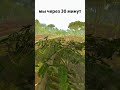ДЕРЕВО🌲 #rust #раст #erem1n