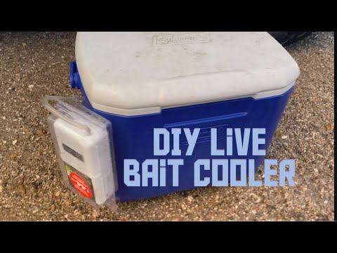 CHEAP Bait cooler DIY. For boat, kayak, jetty, beach fishing 