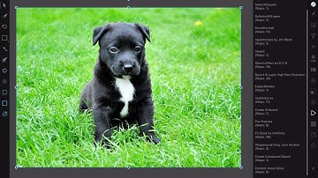 Affinity Photo for iPad, Content Aware Move macro demo