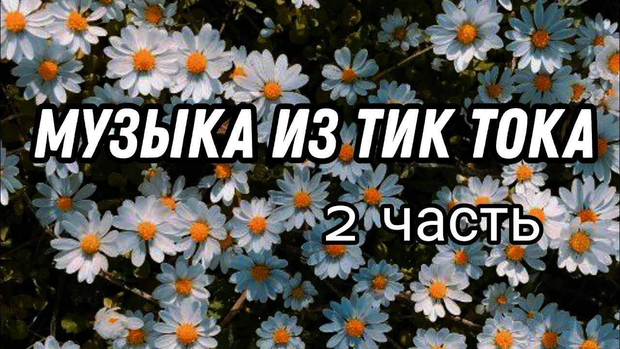 Песня я видел тик ток. Arisha тик ток. Ромашка тик ток.