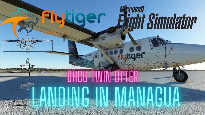 Microsoft Flight Simulator - AEROSOFT DHC6 TWIN OTTER - LANDING