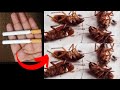 cockroach killer homemade | How To Kill Cockroach  Within 5 minutes ||Home Remedy | Magic Ingredient