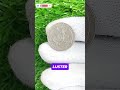 Is Your 1966 Quarter Worth $15 Million? Rare Error &amp; High-Value Secrets Revealed! | Coin Pixel