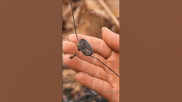 How to make an artificial beehive #honeybee