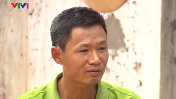 Hành trình thoát Viên Gan Mạn Tính nhờ Cà Gai Leo của anh Tình