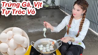 Trứng Gà, Trứng Vịt Tự Tróc Vỏ, Cách Luộc Trứng Gà, Trứng Vịt Đỡ Phải Tốn Công Lột