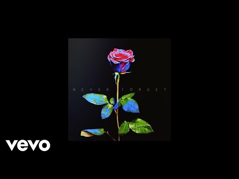 Farid Audee Never Forget AUDIO