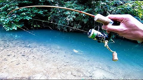 ƠN GIỜI CÂU ĐƯỢC CÁ CHÀY ĐẤT TO RỒI - Amazing fishing