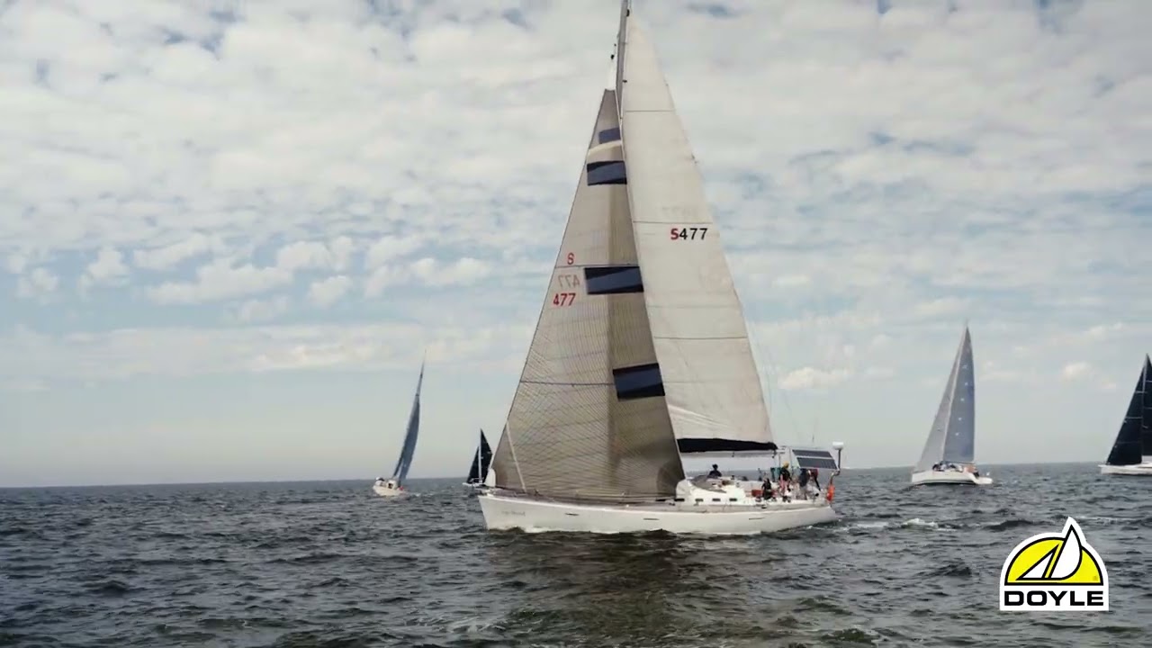 ⁣Cock of the Bay 2022 01