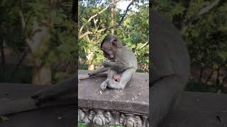 IMG 6268