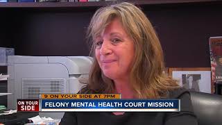 Here to Help: Saving the mentally ill from time in prison