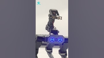 WhalesBot Robot Dog: The STEM Toy That Will Keep Your Kids Entertained for Hours