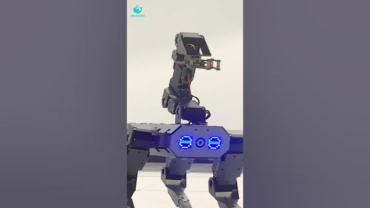 WhalesBot Robot Dog: The STEM Toy That Will Keep Your Kids Entertained for Hours - DayDayNews