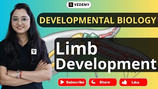 Limb Development | Developmental Biology | Jyoti Kumari | CSIR | DBT | ICMR | GATE | ICAR |