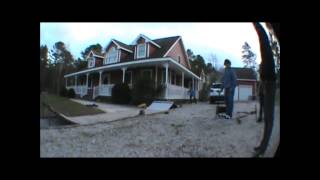 Freshpark Day Edit