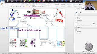 Graphic Organizer- All Transport Review