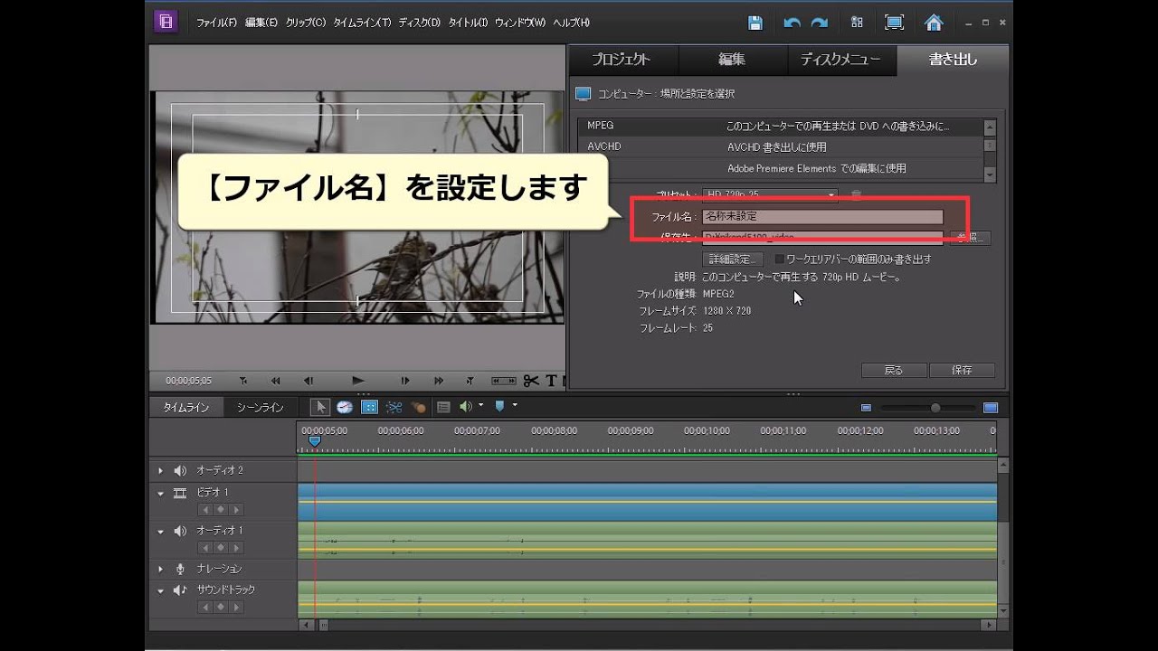 Premiere Elements 10 Pc用に書き出す Youtube