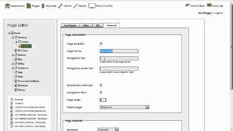 How do I add a page to my website using 16 Interactive CMS Content Management System?
