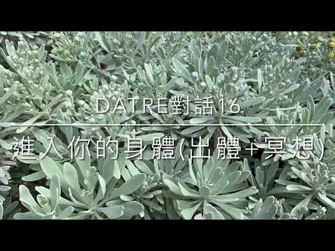 Datre對話16😇進入你的身體(出體+冥想)