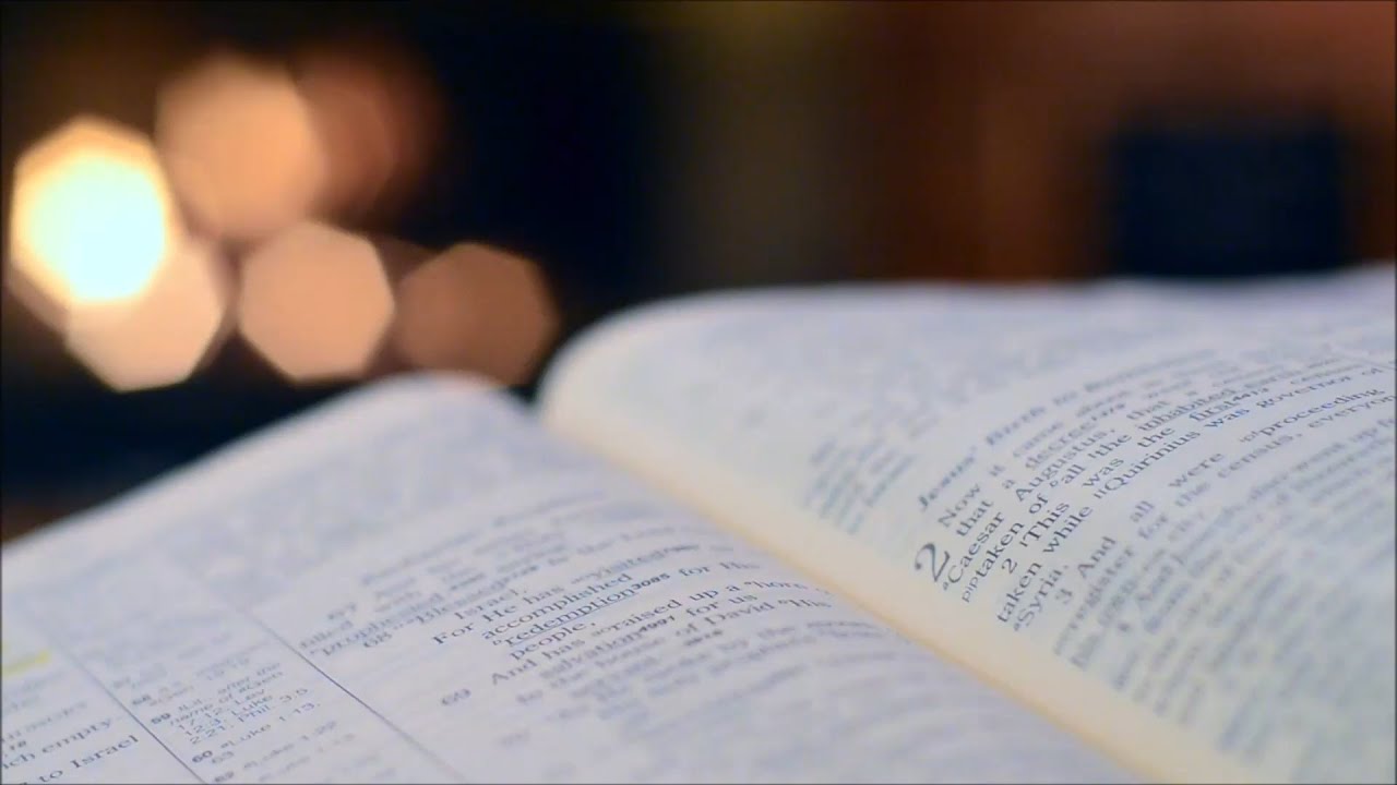Biblick&eacute; vyučovanie - Rado Mikula - "Mravec učiteľ v Božej &scaron;kole"