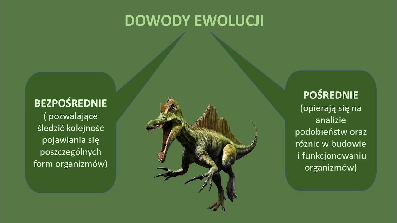 Podkreśl Przykłady Bezpośrednich Dowodów Ewolucji www.youtube.com