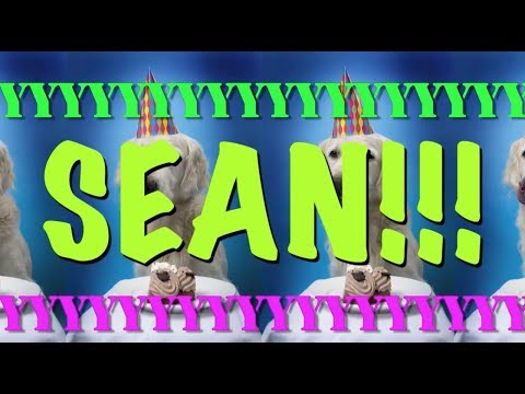 happy-birthday-sean!---epic-happy-birthday-song