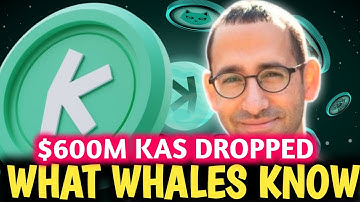 Kaspa Whales Are Buying Millions While Price CRASHES – What Do They Know?