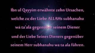 Die Liebe zu ALLAH (subhanahu wa ta'ala)