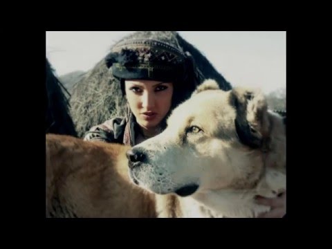 გურამ საღარაძე – ხომ ლამაზია ეს ჩემი ცოლი