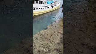 Download Lagu Surut Air #tomia #wakatobi #wakatobikeren #shortvideo #shorts MP3