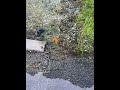 Longboat Key's Ross Toussaint shows stormwater in bioswale between his property and Christ Church