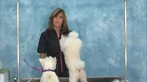 How to Bathe Dogs Jodi Murphy Instructional Video ...