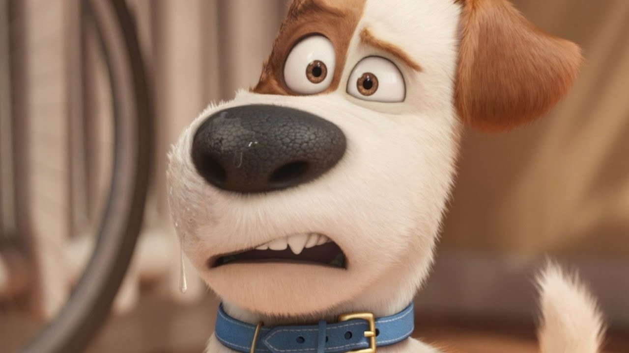 Тайная жизнь домашних животных кто озвучивал. Secret Life of Pets. The Secret Life of Pets 3. The Secret Life of Pets 2.