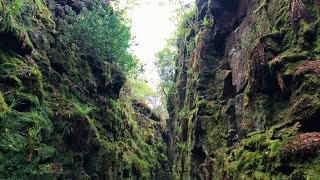 Inside the UK's Most Secret Chasm | Lud's Church Net Worth